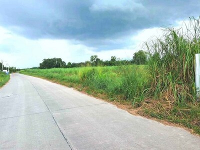 ขายที่ดินสวยราคาถูกหนองบอนแดง บนเนื้อที่ดิน 25-0-51 ไร่  