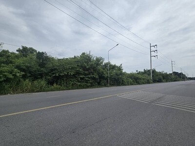 ขายที่ดินแปลงใหญ่ ปทุมธานี ใกล้วัดเสด็จ โรงเรียน ทางด่วน ราคาดีมา