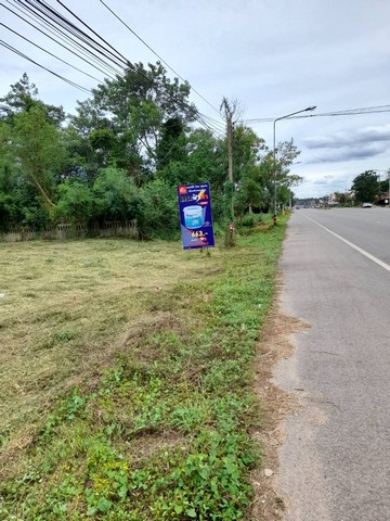 สักกะวาทรัพย์ทวีสิน ขายที่ริมหาดติดทะเล หาดสะพลี264 ตร.วา ชุมพร 16 ลบ. โทร 083-712-4115