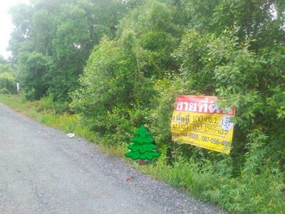 ขายที่ดิน ราคาถูก  100 วา  เทศบาลคลองด่าน ซ.3  บางบ่อ  สมุทรปรากา