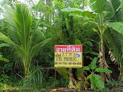 ขายที่ดิน 2-2-28 ไร่ ทำเลสวย ธรรมชาติ รมรื่น  อัมพวา  สมุทรสงคราม