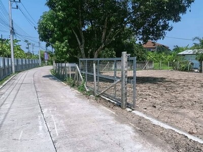 ขายที่ดิน101ว.990ส.ใกล้ รพ.สารภี บ้านช่างเคิ่ง ต.สารภี เชียงใหม่