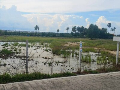 ขายที่ดินสวยทำเลทอง ไทรน้อย 7 ไร่กว่า ราคาพิเศษ!