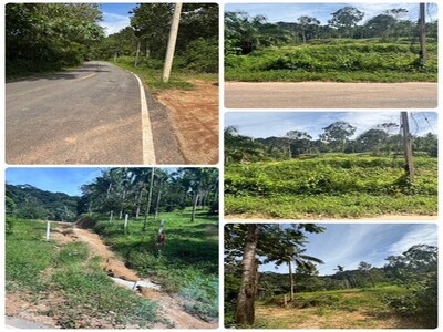 ขาย ที่ดินท่ากลางทำธรรมชาติอยู่ใน ซอย 7 ท่อ อำเภอเมือง จังหวัดระน