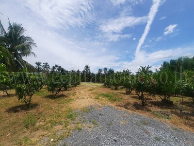 ที่ดินเปล่า 1 ไร่ 2 งาน สามพราน - นครปฐม ราคาถูก ใกล้สวนสามพราน