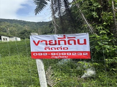 ขายด่วนที่ดิน ซอย 7 ท่อ  อำเภอเมือง จังหวัดระนอง เนื้อที่ 6 ไร่ 