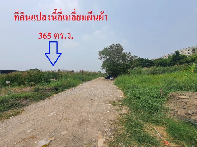 ขายถูกที่ดินสี่เหลี่ยมผืนผ้า ถนนเฉลิมพระเกียรติ ร.9 ซอย 28 แยก18 จากถนนใหญ่เพียง 500 เมตร เนื้อที่ 365ตรว. ทำเลดี แหล่งชุมชน ใกล้สวนหลวง ร.9