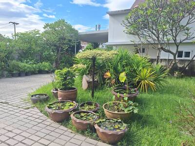 ขายที่ดินพร้อมบ้าน 2 หลัง หมู่บ้านเมืองเอก, ใกล้ตลาดสัมมากร