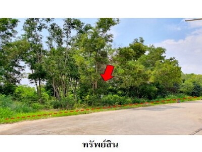 ขายที่ดินว่างเปล่าโครงการ สวนวลีแลนด์ 4  ทับมา ระยอง ขายที่ดินว่างเปล่าโครงการ สวนวลีแลนด์ 4  ทับมา ระยอง