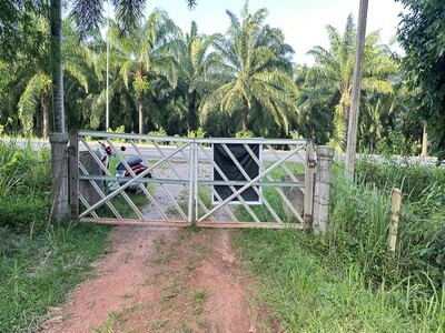 หาซื้อทรัพย์คุ้มใช้ประโยชน์ ที่ดินติดถนนหลวงใกล้หาดบางเบิด ไร่ 8แ