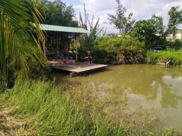 6.5 ล. เท่านั้น​ ​2 ไร่ 1 งาน 06 ตรว. #โซน​หางดง​ #หลังกาดฝรั่ง/ม.กุลพันวิวล์​ 9 #บ้านสวนพร้อมบ่อปลา