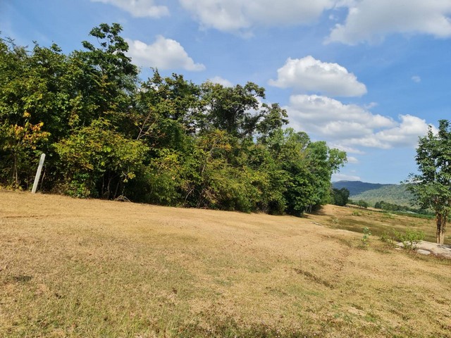 ทรัพย์รับตรุษจีนเฮงๆรวยๆเสนอ  ขาย ติดเทือกเขายาวเรียงแนว ดินดีสมบูรณ์ทรัพย์ในดิน  ตำบลนาจาน อำเภอสีชมพู ฟ้าใสอากาศดีขอนแก่น 