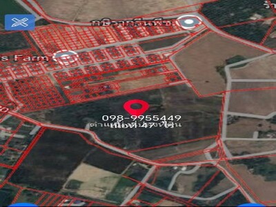 ขายที่ดินสวยพนัสถูกที่สุดในย่านนี้ ที่ดิน 47 ไร่ 40 ตารางวา 