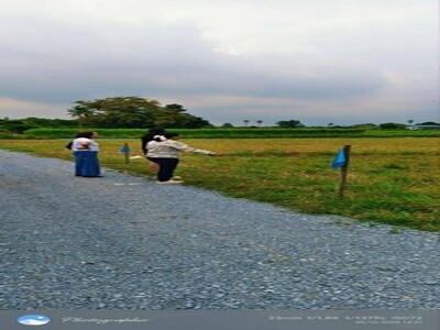 ถูกมาก ที่ดิน 1งานเริ่ม3.9แสน฿อ.เมืองนครปฐม ถนนดี ใกล้องค์พระฯ ฟร