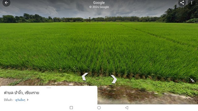 ขายที่ดินเปล่า วิวเขา เชียงราย      ต.เวียงกาหลง  อ.เวียงป่าเป่า จ.เชียงราย 