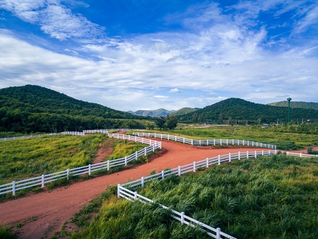 ที่ดินแบ่งขายวิวภูเขารายล้อม 360 องศา ตำบลกลัดหลวง อำเภอท่ายาง เพชรบุรี สาธารณูปโภคครบ เหมาะทำบ้านสวน บ้านตากอากาศ ซื้อได้ทั้งสดและผ่อน