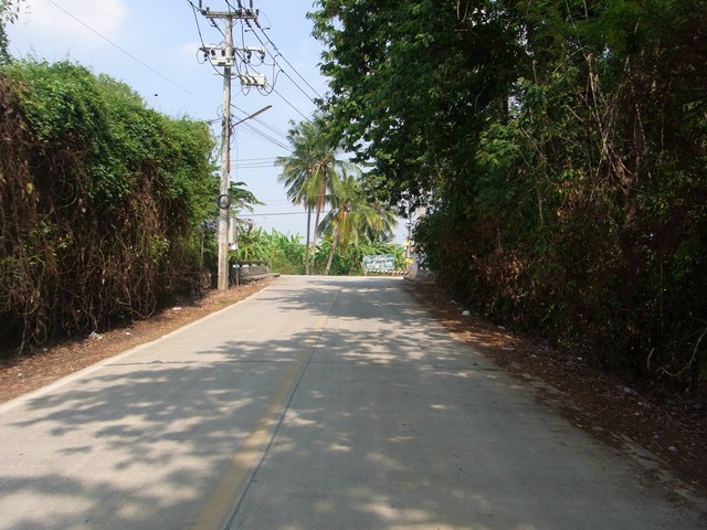 ที่ดินประมาณ  3 ไร่ ติดคลองบางโพธิ์เหนือ  เหมาะสร้างอาคาร ร่มรื่น แปลงงาม   