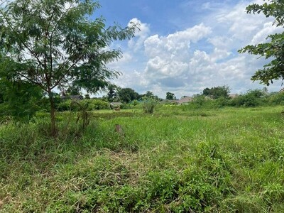 ลดราคาขายด่วน ที่ดิน ทำเลทอง หลังกาดฝรั่ง บ้านแหวน หางดง 