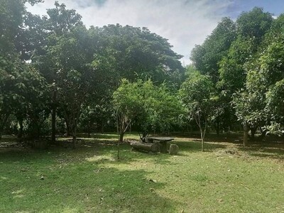 ที่ดินแปลงสวย คูเมืองเก่าเวียงเจ็ดลิน เชิงดอยสุเทพ   