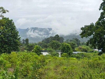 ขายบ้านสวนผลไม้รวม บนเนินเขา ต.เขาพระ อ.เมืองนครนายก