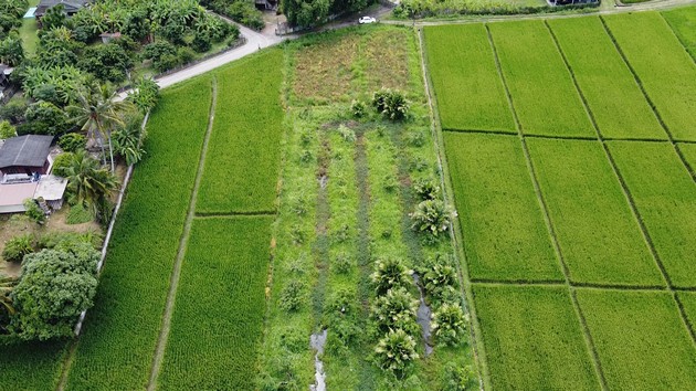 ขายที่ดิน เขตชุมชน ติดถนนลาดยาง ทำเลดี  ดอยสะเก็ด เชียงใหม่ เจ้าของขายเอง