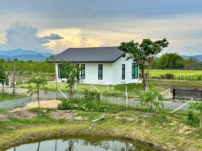 บ้านเดี่ยว สไตล์บ้านสวน เพลิดเพลินไปกับธรรมชาติ สันกำแพง  บ้านเดี่ยว สไตล์บ้านสวน เพลิดเพลินไปกับธรรมชาติ สันกำแพง