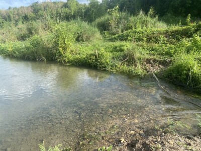 ที่ดินบ้านเจ้าของขายเอง ที่ดินติดลำธารน้ำมวบ ใสไหลฉ่ำตลอดปี จ.น่า