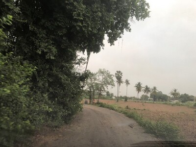 ที่ดินเจ้าของขายเอง ขายที่ติดแม่น้ำน่าน ต.โคกหม้อ ชุมแสง.นครสวรรค ที่ดินเจ้าของขายเอง ขายที่ติดแม่น้ำน่าน ต.โคกหม้อ ชุมแสง.นครสวรรค