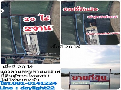 ขายที่ดินบ่อ แถวเทศบาลเมืองพันท้ายนรสิงห์ จ.สมุทรสาคร ขายที่ดินบ่อ แถวเทศบาลเมืองพันท้ายนรสิงห์ จ.สมุทรสาคร