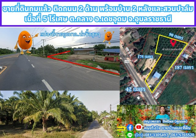 ขายที่ดินถมแล้ว ติดถนน 2 ด้าน พร้อมบ้าน 2 หลังและสวนปาล์ม เนื้อที่ 5 ไร่เศษ ต.กลาง อ.เดชอุดม จ.อุบลราชธานี