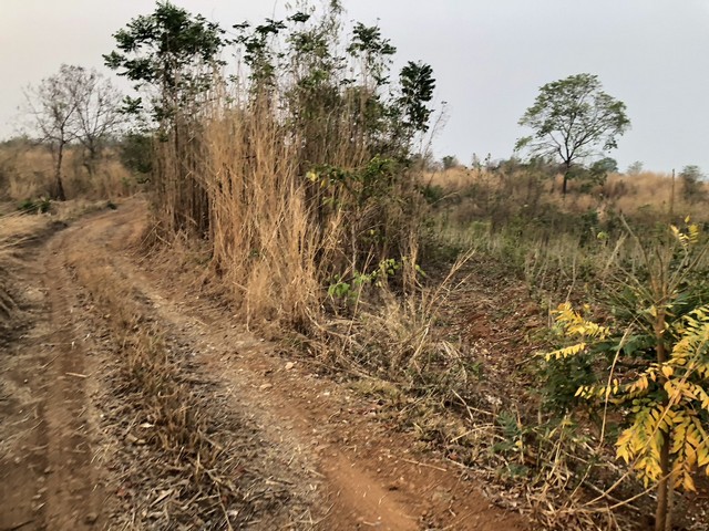 ทรัพย์ทรงค่ารับศักราชใหม่ ธรรมชาติเนินเขา ที่ดินโฉนดแบ่งขาย สวยๆ ท่ามกลางธรรมชาติหล่มเก่า ดินดีทำเกษตรงาม  ที่ดินดีสมบูรณ์ หล่มเก่า เพชรบูรณ์ ใกล้ภูทับเบิก โทร 0968821857