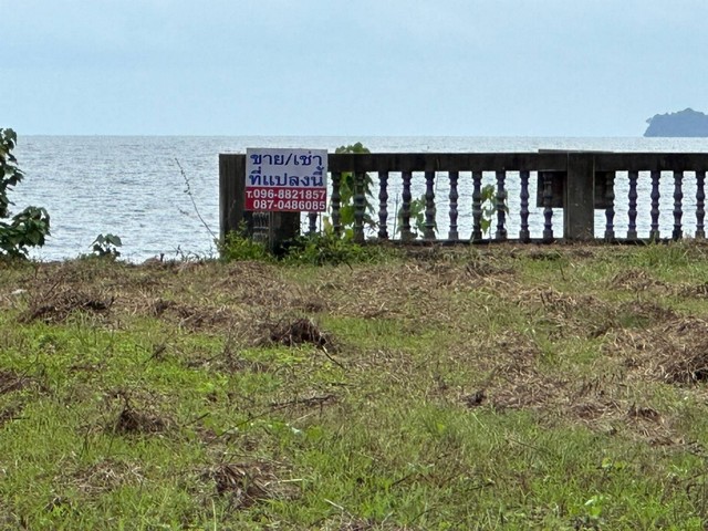 ทรัพย์ทรงค่ารับศักราชใหม่ ที่ดินริมหาดสะพลีทรายขาวน้ำใสคราม สวยงามวิวทะเลธรรมชาติสุดสุด ปะทิวใกล้หาดสวยทุ่งวัวแล่น  